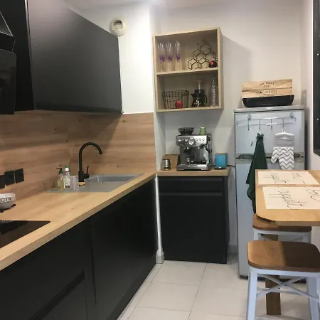 Apartment Avec Jardin Clos Prive Tarbes